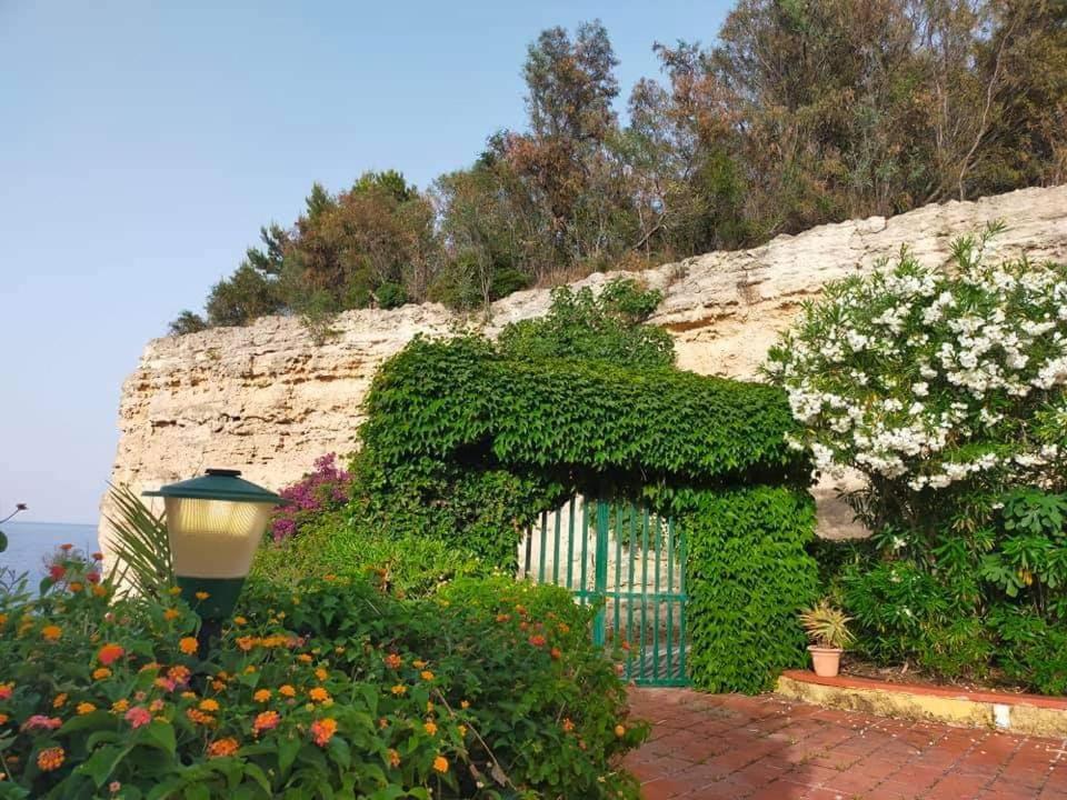 Seeonsea Apartment Agnone Bagni Bagian luar foto