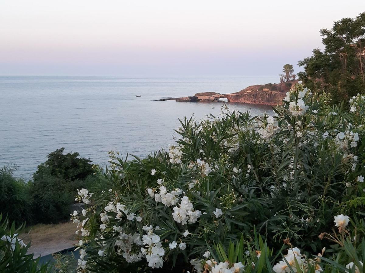 Seeonsea Apartment Agnone Bagni Bagian luar foto