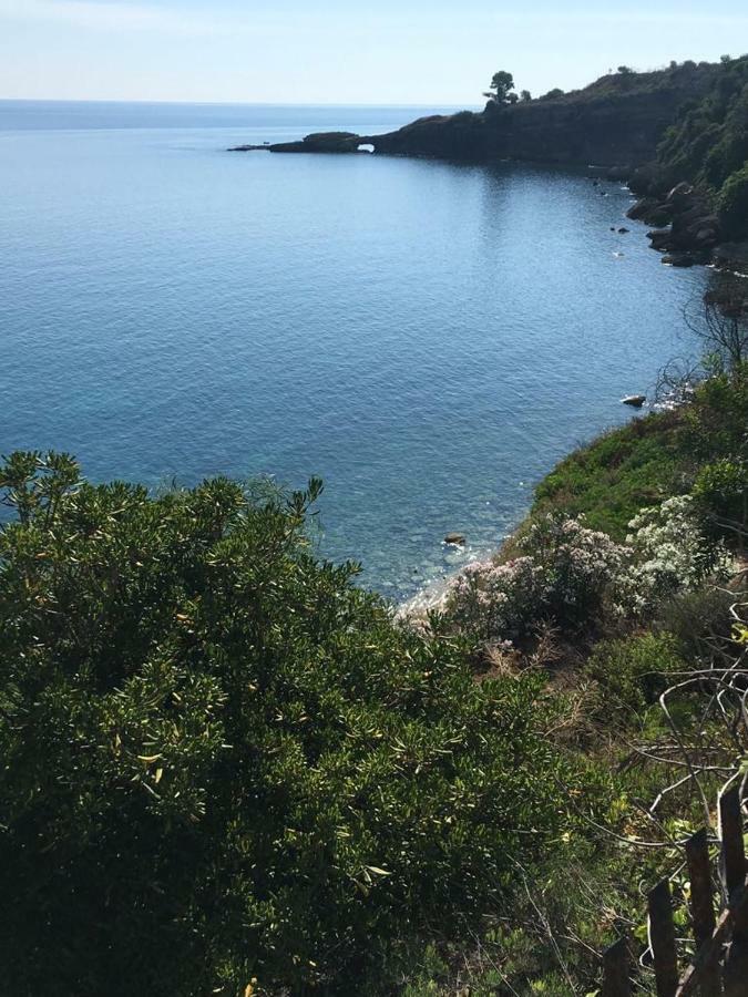 Seeonsea Apartment Agnone Bagni Bagian luar foto